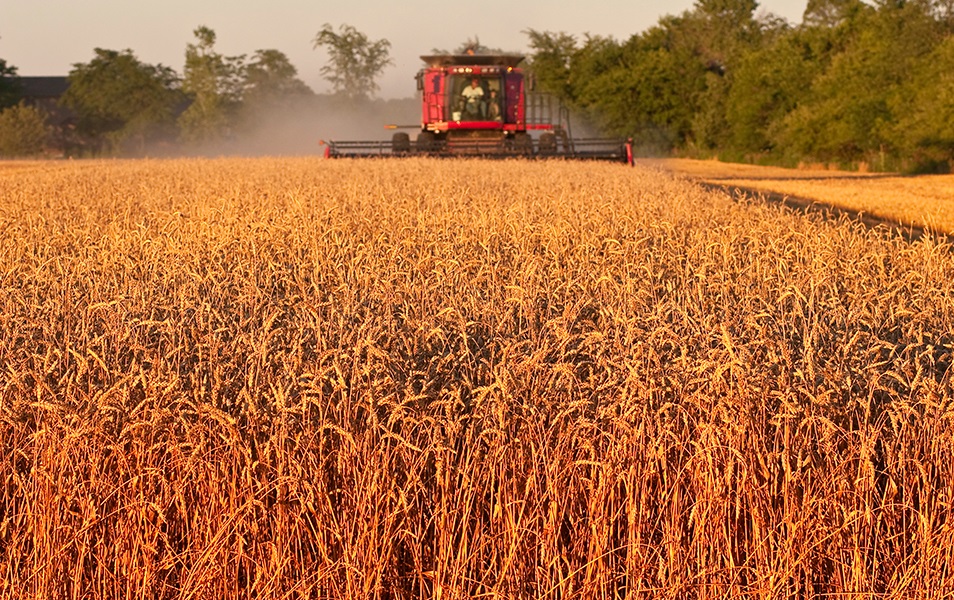 diesel, agricola, diesel barato, distribucion gasoil, diesel tractor