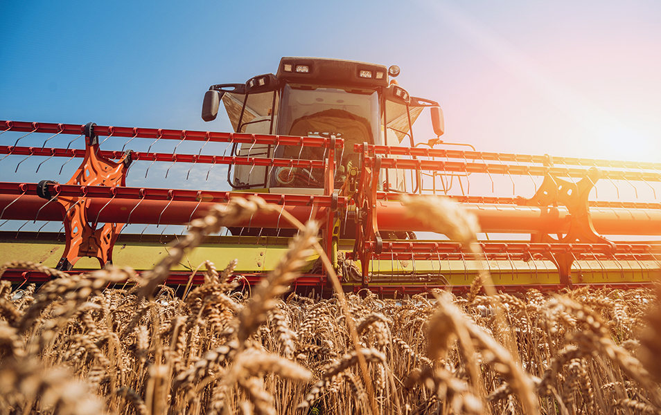 maquinaria agricola, diesel maquinaria agricola, diesel tractor, diesel empresa, distribucion diesel