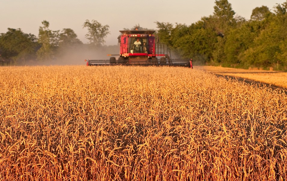 tractor diesel, diesel agricola, diesel barato, diesel maquinaria agricola, distribucion diesel